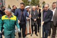 اقدامات مدیریت شهری فردیس در روز درختکاری