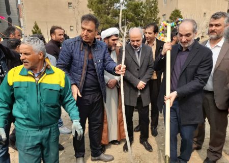 اقدامات مدیریت شهری فردیس در روز درختکاری