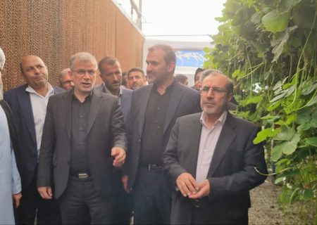 نظرآباد میزبان استاندار البرز شد