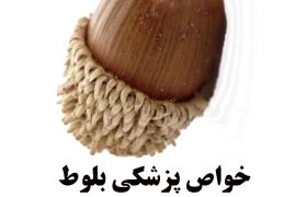 خواص پزشکی و عبرت آموزی با بلوط، سوغاتی شهر یاسوج