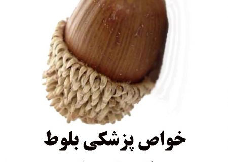 خواص پزشکی و عبرت آموزی با بلوط، سوغاتی شهر یاسوج